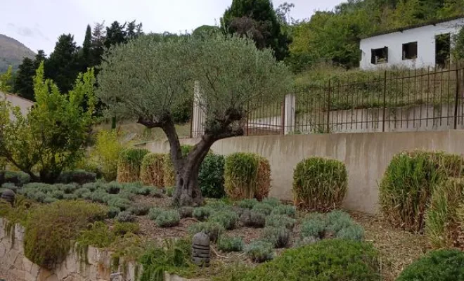 Jardin, Cagnes-sur-Mer, WK RENOV
